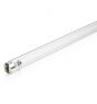 Philips T8 UV - C 36W - Ultraviolett | 120cm